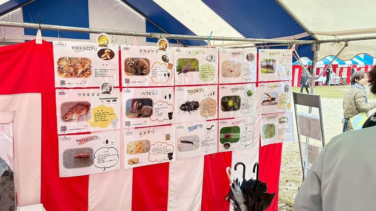 LINE ALBUM 20251105 251105 19