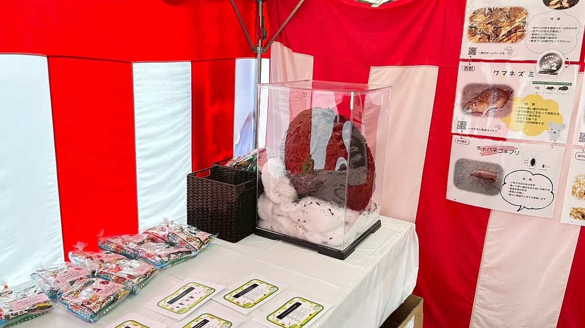 LINE ALBUM 20251105 251105 20