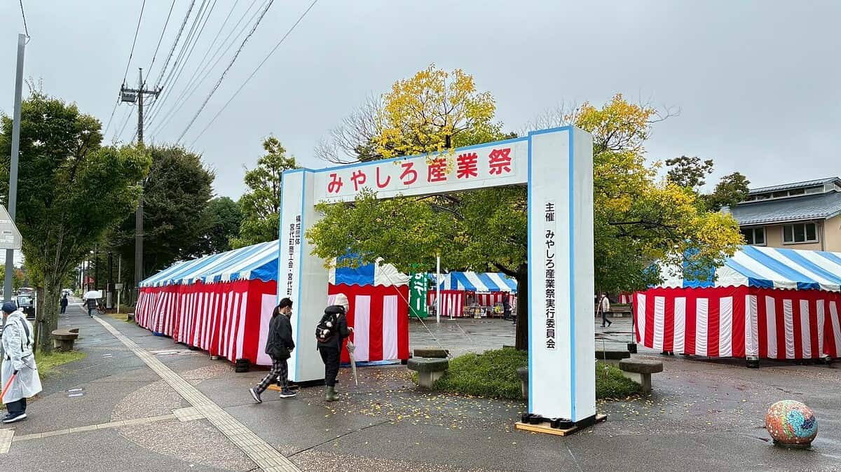 LINE ALBUM 20251105 251105 8